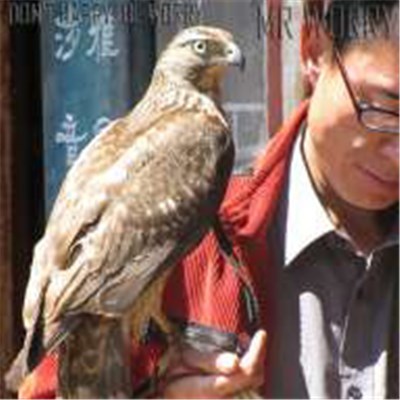 Mr Worry - Don't Happy, Be Worry download mp3 flac