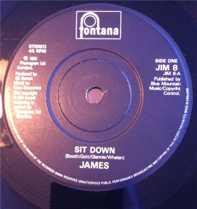 James - Sit Down download mp3 flac