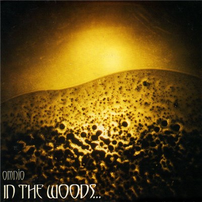 In The Woods... - Omnio download mp3 flac