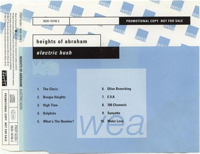 Heights Of Abraham - Electric Hush download mp3 flac