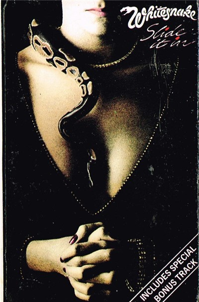 Whitesnake - Slide It In download mp3 flac