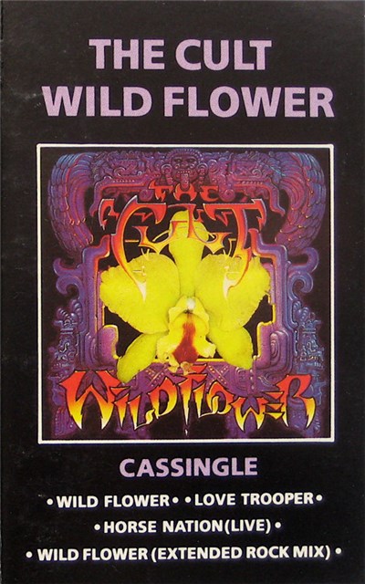 The Cult - Wild Flower download mp3 flac