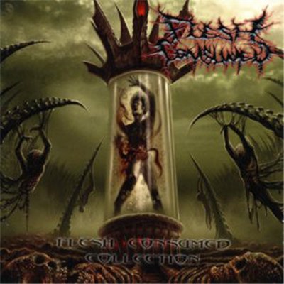 Flesh Consumed - Collection download mp3 flac