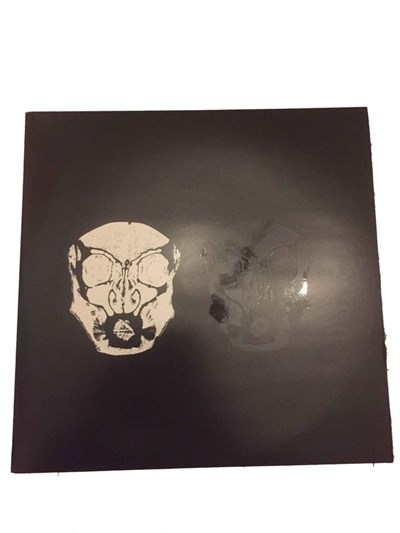 Public Image Limited - Mr Rotten's Picture Disc download mp3 flac