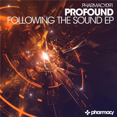 Profound - Following The Sound EP download mp3 flac