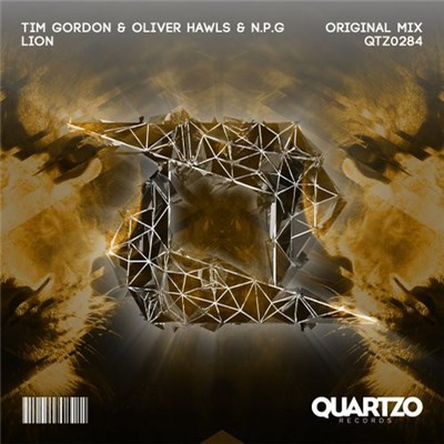 Tim Gordon & Oliver Hawls & N.P.G - Lion download mp3 flac