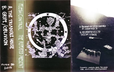 Flesh Control - The Repeated Present download mp3 flac