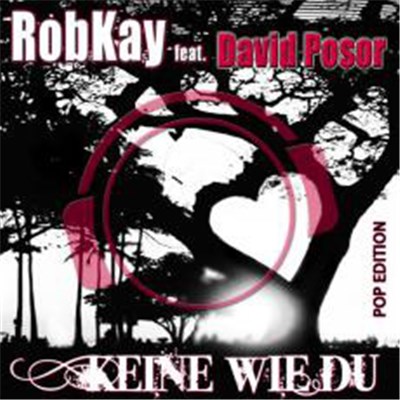 RobKay Feat. David Posor - Keine Wie Du (Special Pop Edition) download mp3 flac