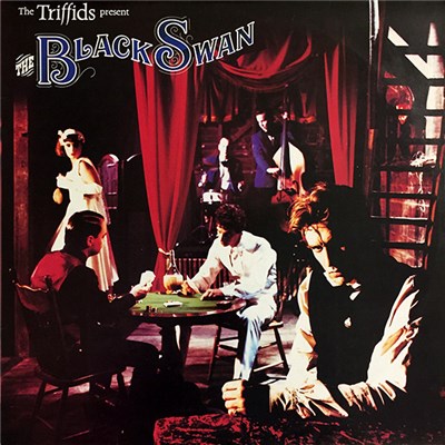 The Triffids - The Black Swan download mp3 flac