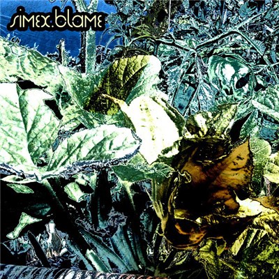 Simex - Blame download mp3 flac