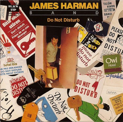 The James Harman Band - Do Not Disturb download mp3 flac