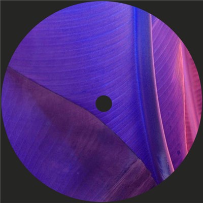 SHNGL - San Junipero download mp3 flac