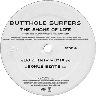 Butthole Surfers - The Shame Of Life download mp3 flac