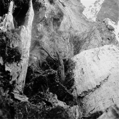 Orange Annihilator - Tremoring Fingers download mp3 flac