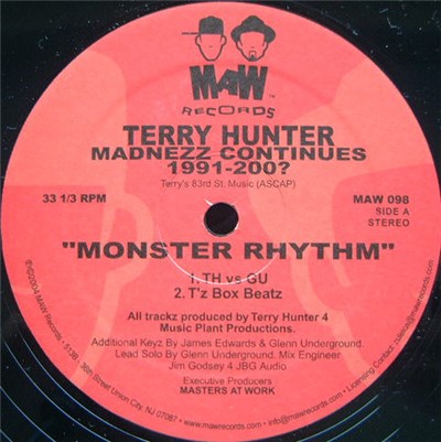 Terry Hunter - Madnezz Continues 1991-200? download mp3 flac