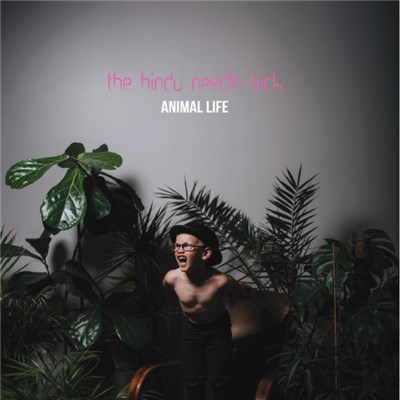 The Hindu Needle Trick - Animal Life download mp3 flac