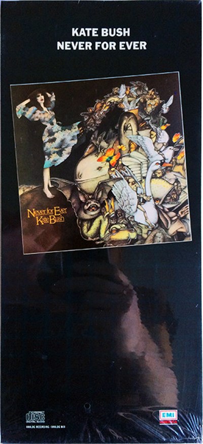 Kate Bush - Never For Ever download mp3 flac