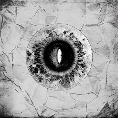 Celestial Wolves - Illusive Landscape Of Expression download mp3 flac