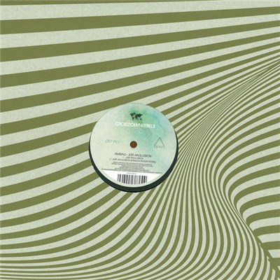 Amirali - Just An Illusion download mp3 flac