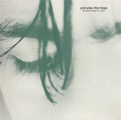 And Also The Trees - A Room Lives In Lucy download mp3 flac