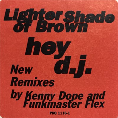 Lighter Shade Of Brown - Hey D.J. download mp3 flac