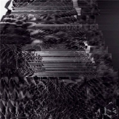 SolidNormality - INCOMPLET download mp3 flac