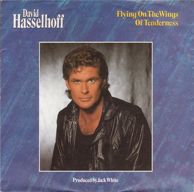 David Hasselhoff - Flying On The Wings Of Tenderness download mp3 flac