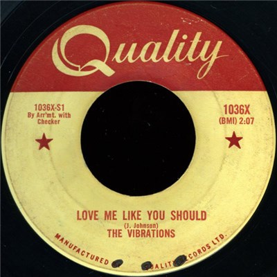 The Vibrations - Love Me Like You Should download mp3 flac