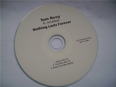 Tom Novy Ft. Amadeas - Nothing Lasts Forever download mp3 flac