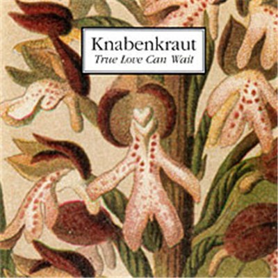Knabenkraut - True Love Can Wait download mp3 flac