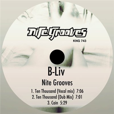 B-Liv - Nite Grooves download mp3 flac