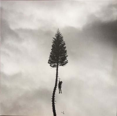 Manchester Orchestra - A Black Mile To The Surface download mp3 flac