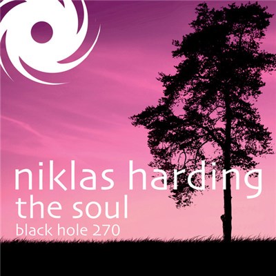 Niklas Harding - The Soul download mp3 flac