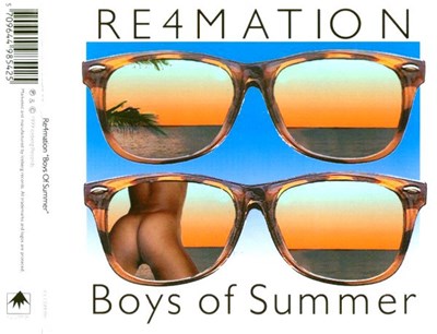 Re4mation - Boys Of Summer download mp3 flac