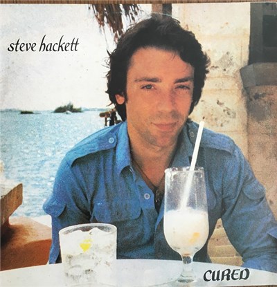 Steve Hackett - Cured download mp3 flac
