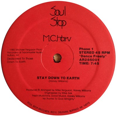 M.C. Harv - Stay Down To Earth download mp3 flac