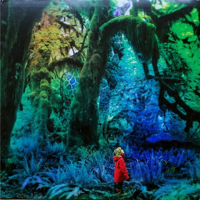 Jacco Gardner - Cabinet Of Curiosities download mp3 flac