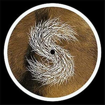 Strings Of Consciousness - Sonic Glimpses download mp3 flac