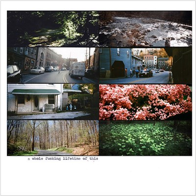 American Pleasure Club - A Whole Fucking Lifetime Of This download mp3 flac