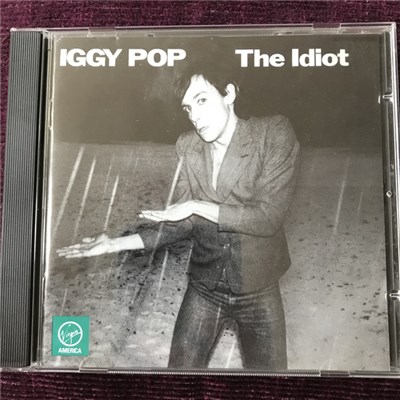 Iggy Pop - The Idiot download mp3 flac