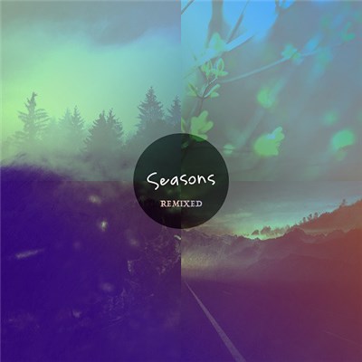 Narrow Skies - Seasons: Remixed download mp3 flac
