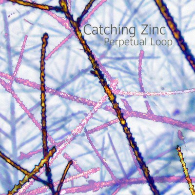 Perpetual Loop - Catching Zinc download mp3 flac