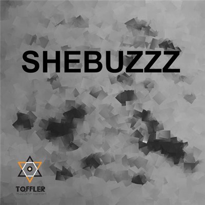 Shebuzzz - Debut Solo download mp3 flac