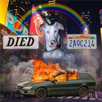Died - Died download mp3 flac