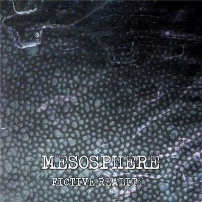 Mesosphere - Fictive Reality download mp3 flac