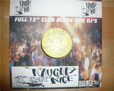 Shaggy & Scoobie - You Can Feel It download mp3 flac