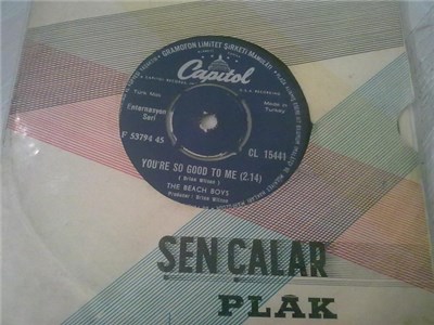 The Beach Boys - Sloop John B / You're So Good To Me download mp3 flac