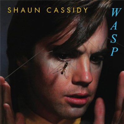 Shaun Cassidy - Wasp download mp3 flac