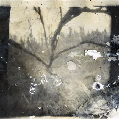 Item Caligo - Taedet download mp3 flac