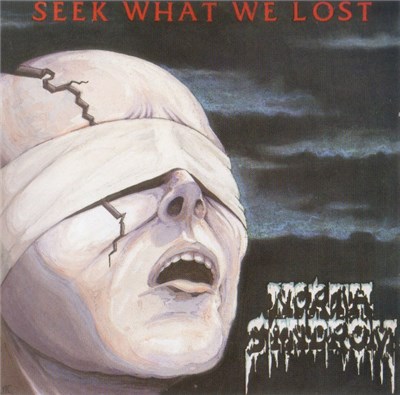 North Syndrom - Seek What We Lost download mp3 flac